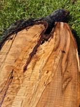 Load image into Gallery viewer, Beech Live edge board - 300mm x 1600mm (ID: BEE015)