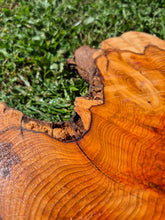Load image into Gallery viewer, Yew Cookie/Log slice - 450mm x 450mm (ID: YEW046)