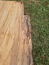 Load image into Gallery viewer, Elm Live edge board - 3800mm x 850mm (ID: ELM22)