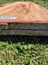 Load image into Gallery viewer, Elm Live edge board - 1470mm x 720mm (ID: ELM21)