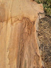 Load image into Gallery viewer, Elm Live edge board - 3800mm x 850mm (ID: ELM22)