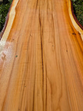 Load image into Gallery viewer, Yew Live edge board - 300mm x 1130mm (ID: YEW041)