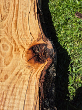 Load image into Gallery viewer, Beech Live edge board - 460mm x 1560mm (ID: BEE017)