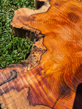 Load image into Gallery viewer, Yew Cookie/Log slice - 450mm x 450mm (ID: YEW046)