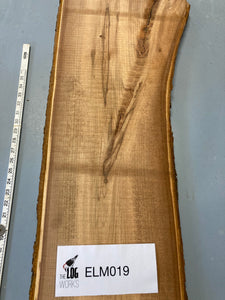 Elm board - ELM019