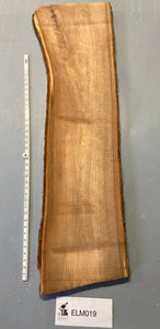 Elm board - ELM019