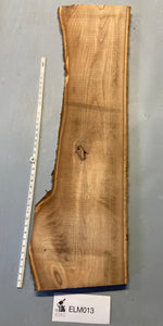 Elm board - ELM013