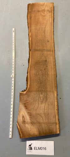 Elm board - ELM016