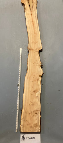 Yew board - YEW037