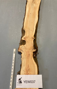 Yew board - YEW037