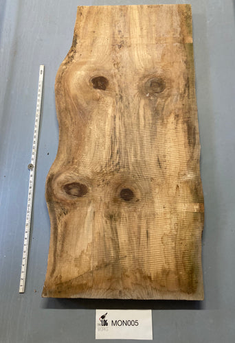 Monkey Puzzle board - MON005